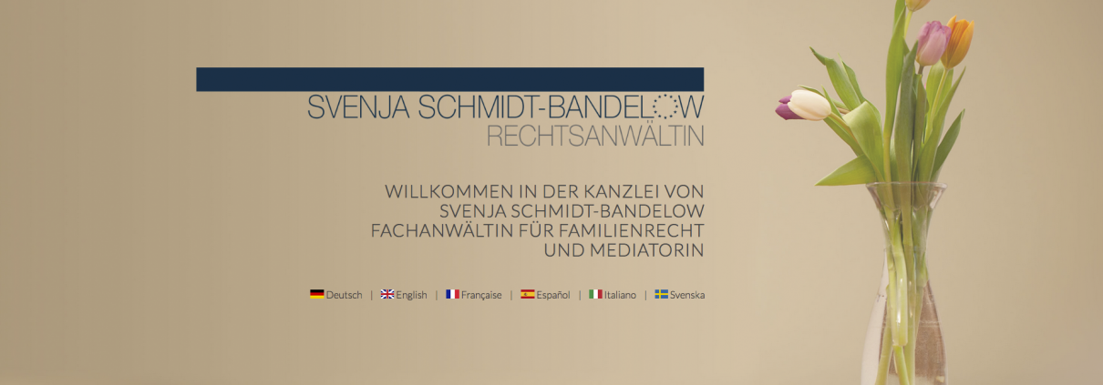Anwältin Svenja Schmidt-Bandelow Websitekopf